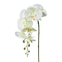 Umelá Orchidea biela, 86 cm 305303-50
